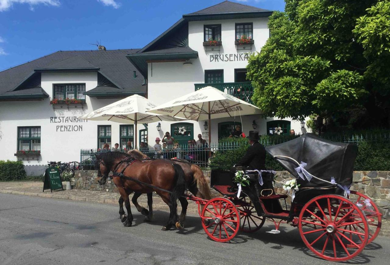 Pension Brusenka Bystřice pod Hostýnem Exteriér fotografie